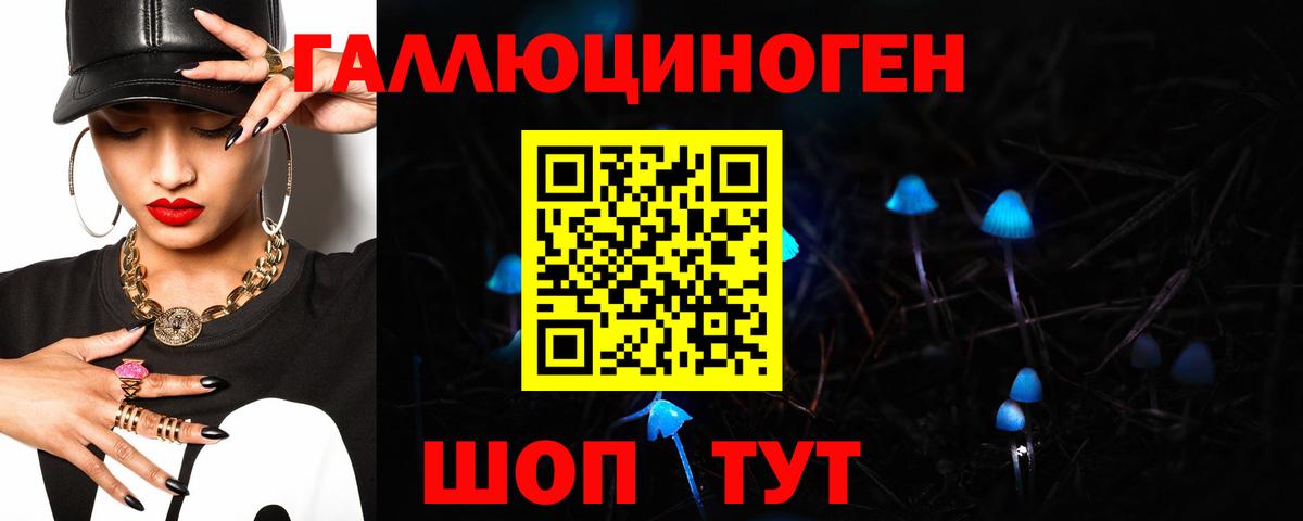 Псилоцибиновые грибы Psilocybe Северобайкальск